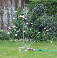 Sprinkler on lawn