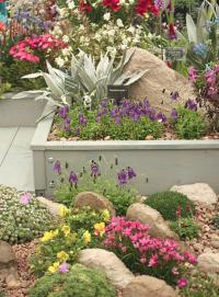 Container grown miniature rock gardens