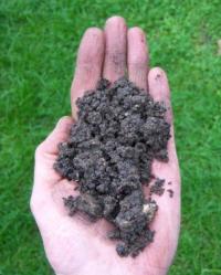 Handful of soil