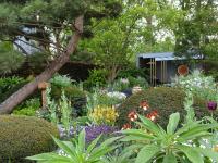 The Morgan Stanley Garden at the RHS Chelsea Flower Show 2019