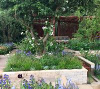 RHS Chelsea Flower Show 2022