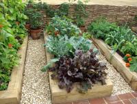 wooden vegetable beds