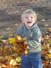 Child collecting leaves