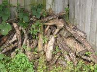 Pile of logs and twigs