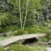 RHS Chelsea 2012 - The Bronts' Yorkshire Garden 