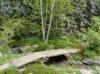 RHS Chelsea 2012 - The Bronts' Yorkshire Garden 