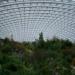 The Great Glasshouse, National Botanic Gardens of Wales.