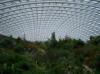 The Great Glasshouse, National Botanic Gardens of Wales.