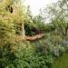 RHS Chelsea 2015 - The M&G Garden  The Retreat