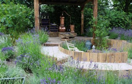 RHS Hampton Court 2016 - The Lavender Garden