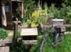 RHS Chelsea 2009 - The Fenland Alchemist Garden