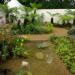 RHS Hampton Court 2008 - The National Year of Reading Garden