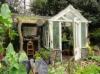 RHS Chelsea 2012 - Plant Explorers Garden