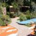 RHS Chelsea 2011 - The Australian Garden 