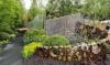 RHS Chelsea 2013 - The SeeAbility Garden