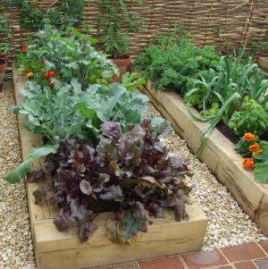 Wooden raised vegetable bed