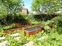 The Zoe Ball Listening Garden at the RHS Chelsea flower show 2017