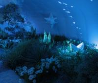 DialAFlight: Synaesthesia Garden at the 2015 RHS Hampton Court Palace flower show 