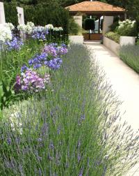 Jack Dunckley's The Just Retirement Garden at the RHS Hampton Court Flower Show 2014