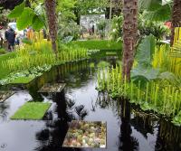 The World Vision fresh garden at RHS Chelsea 2015