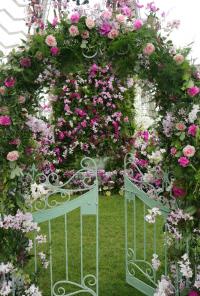 The Orchid display at the 2018 RHS Chatsworth flower show