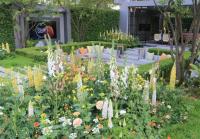 The LG Eco-City Garden, large show garden at the 2018 Chelsea flower show 