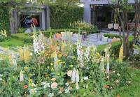 The LG Eco-City Garden, large show garden at the 2018 Chelsea flower show