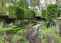 The Husqvarna Garden at the 2016 Chelsea flower show