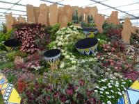 The South African Kirstenbosh display at the RHS Chelsea Flower Show 2019