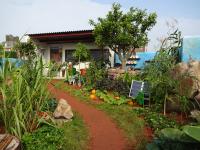 The Camfed Garden at the RHS Chelsea Flower Show 2019