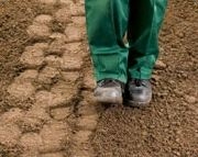 Stamping down soil