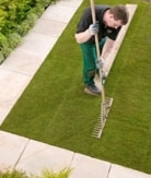 Tamping down turf