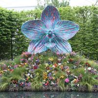 Episode 3: The 2013 Chelsea Flower Show
