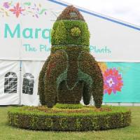 Episode 35: RHS Hampton Court Palace Flower Show & Gardening Jobs for July